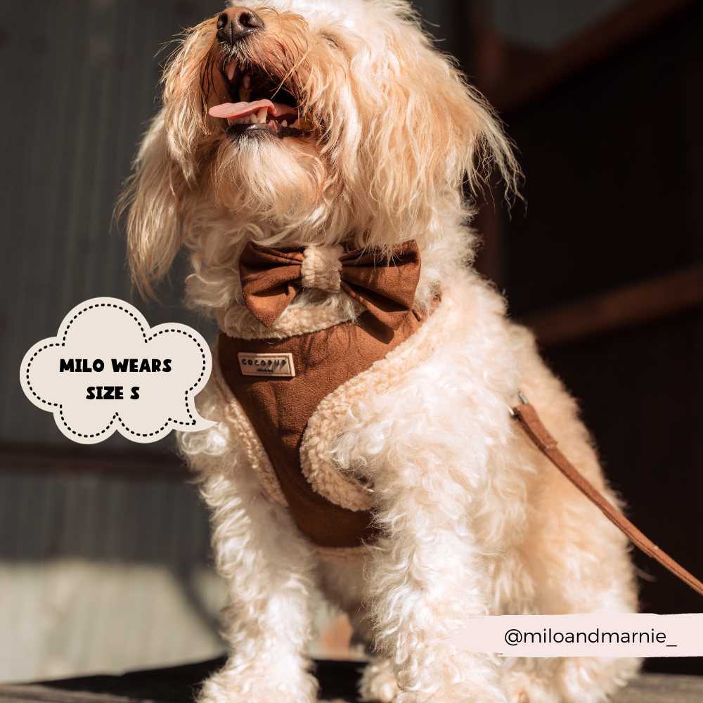 Brown Aviator Adjustable Neck Dog Harness | Cocopup London Brown Aviator Adjustable Neck Dog Harness | Cocopup London