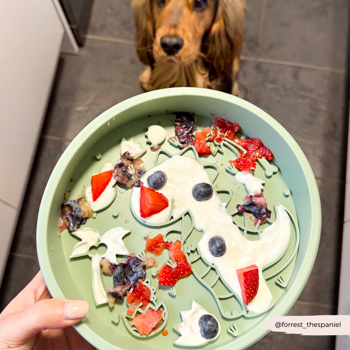 Silicone Slow Feed Dog Bowl - Dinopaws