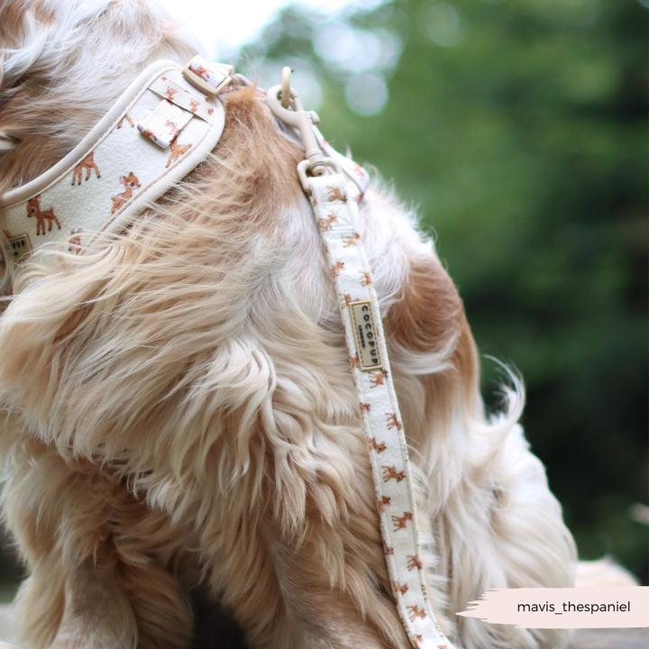 Fleecy Fawn Adjustable Neck Harness, Lead & Collar Bundle