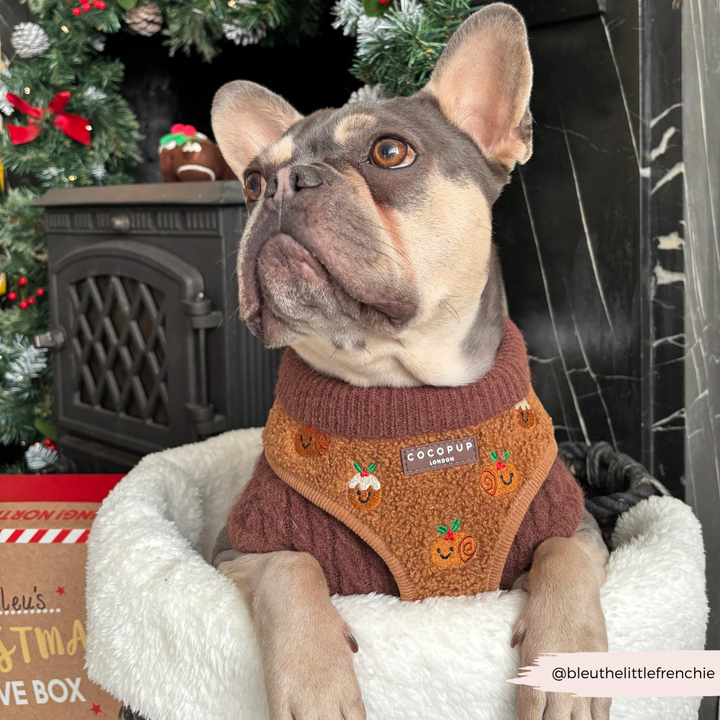 Festive Pudding Pup Adjustable Neck HARNESS