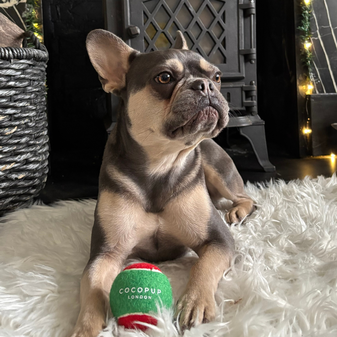 Limited Edition Tennis Ball - Christmas Red & Green