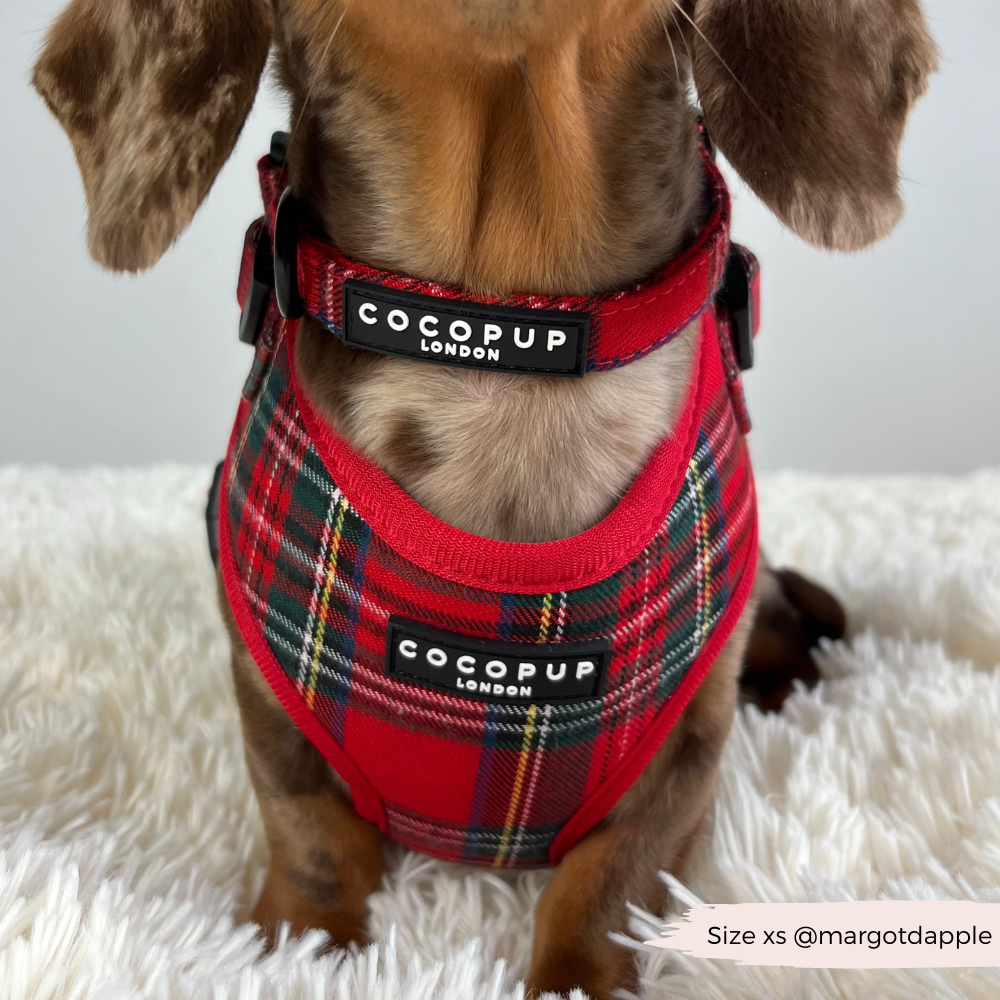 Tartan Collar