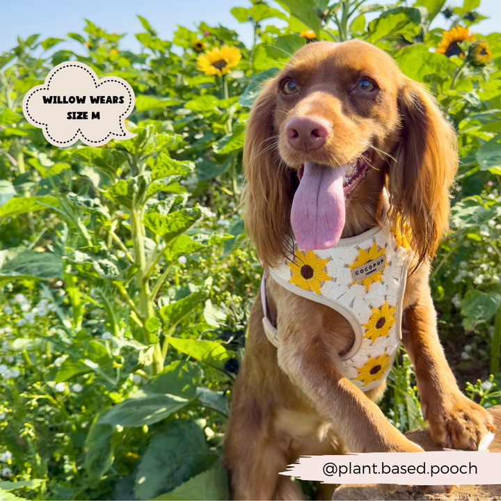 Sunflower Patch Adjustable Neck Harness