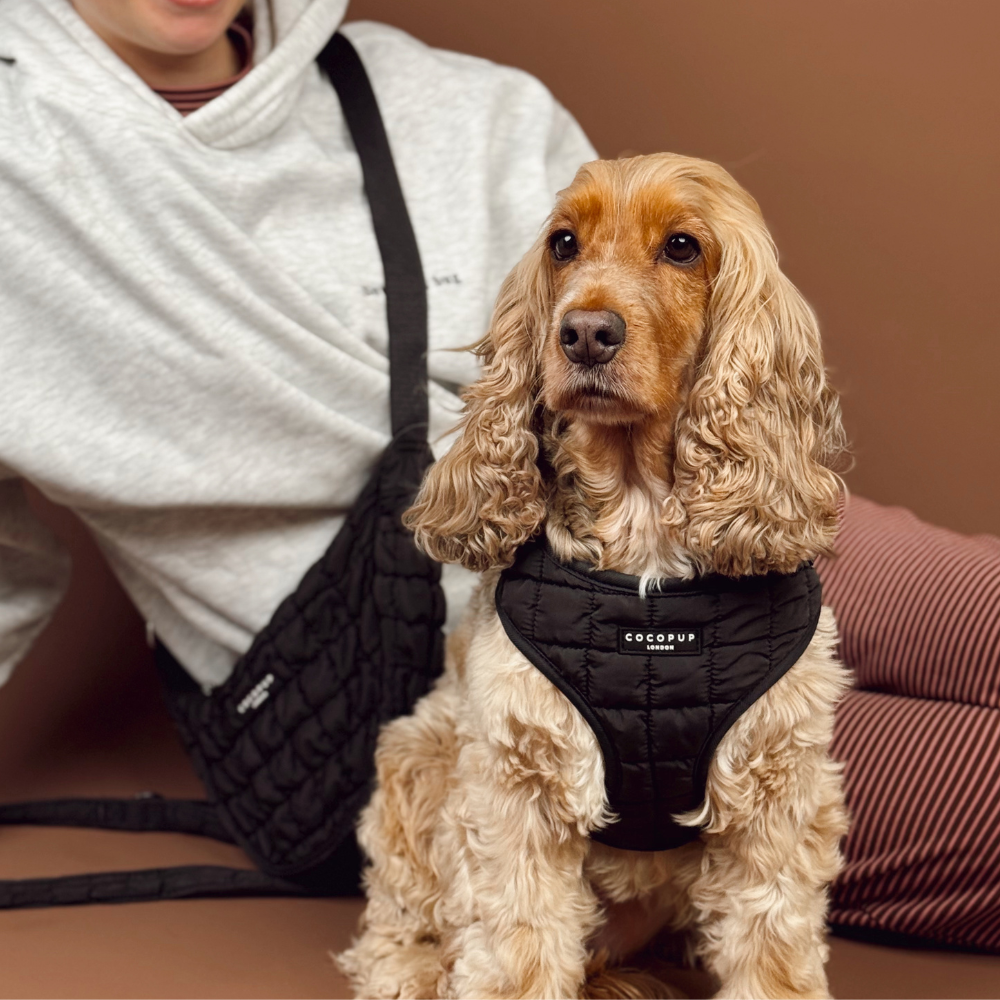 Onyx Quilted Adjustable Neck HARNESS