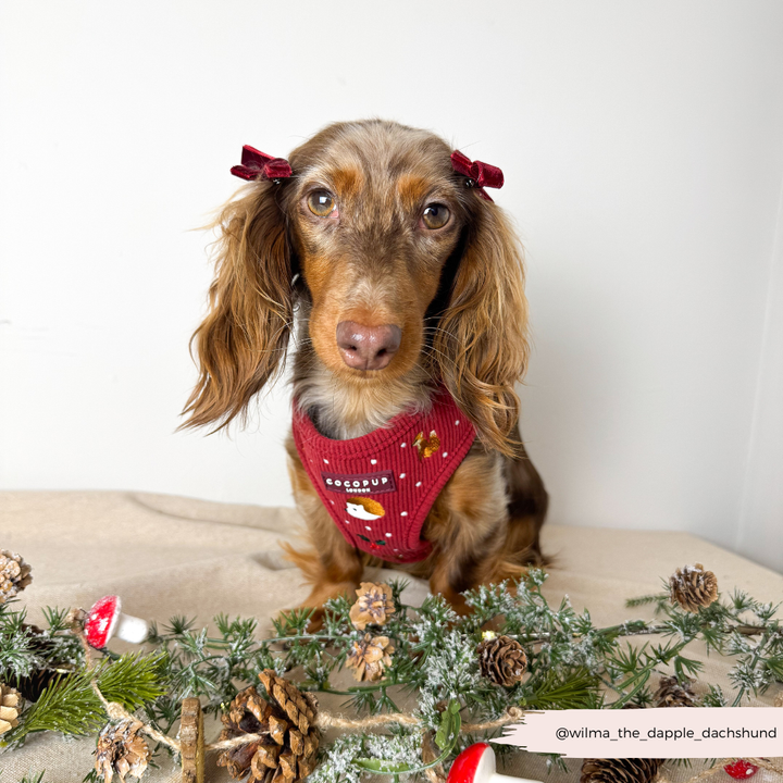 Holly Jolly Trails Adjustable Neck HARNESS