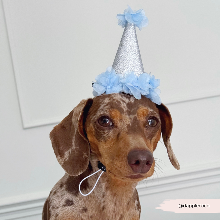 Dog Party Hat - Blue