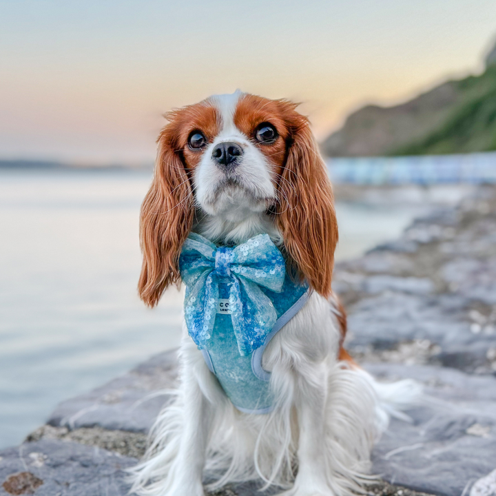 Seaside Shimmer Sailor Bow Tie