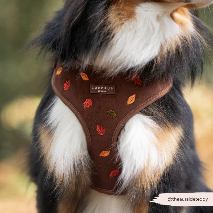 Pawtumn Leaves Adjustable Neck HARNESS