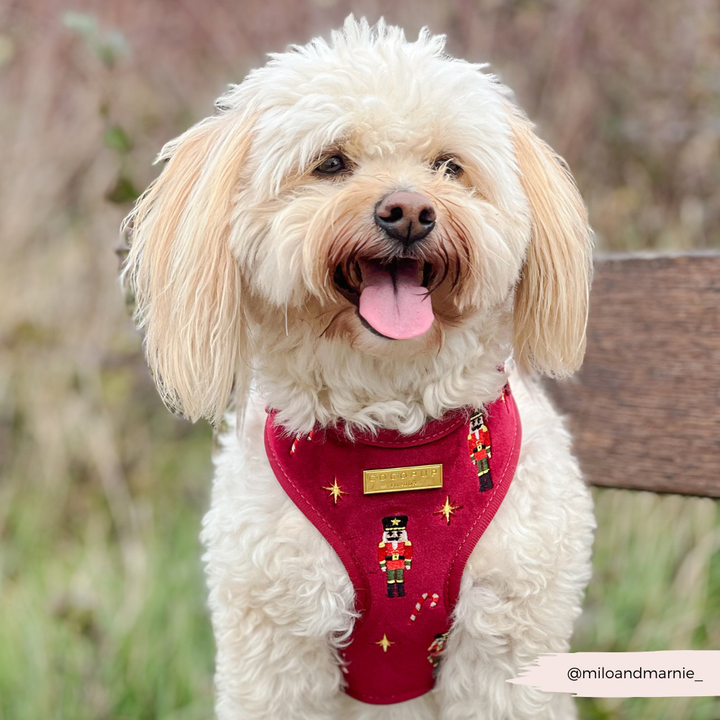 The Muttcracker Adjustable Neck HARNESS
