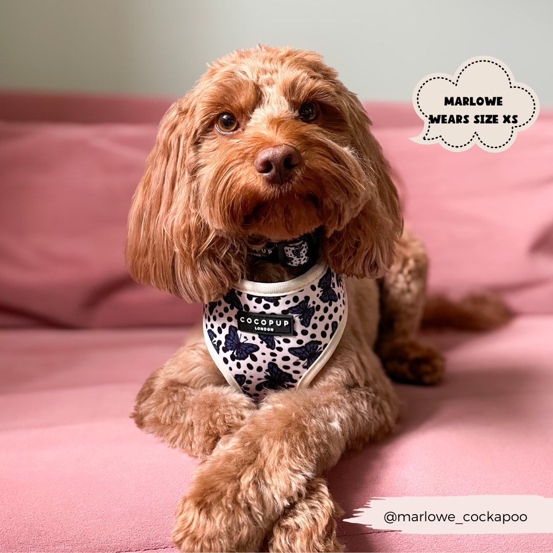 Pupperfly Adjustable Neck Harness