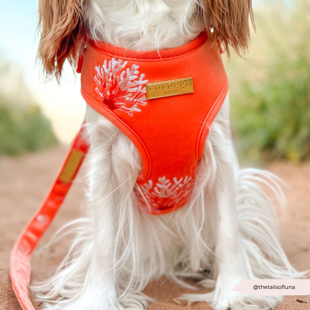 Luxe Velvet Adjustable Neck HARNESS- Coral Core