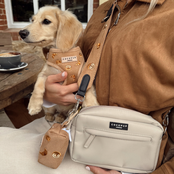 Pawtisserie Adjustable Neck Harness, Lead & Collar Bundle