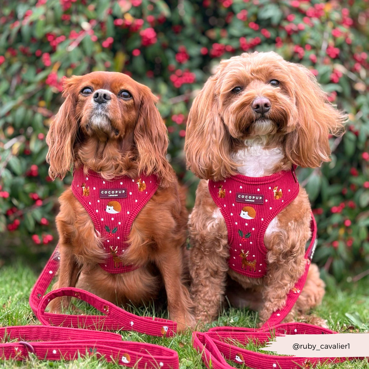 Holly Jolly Trails Adjustable Neck HARNESS