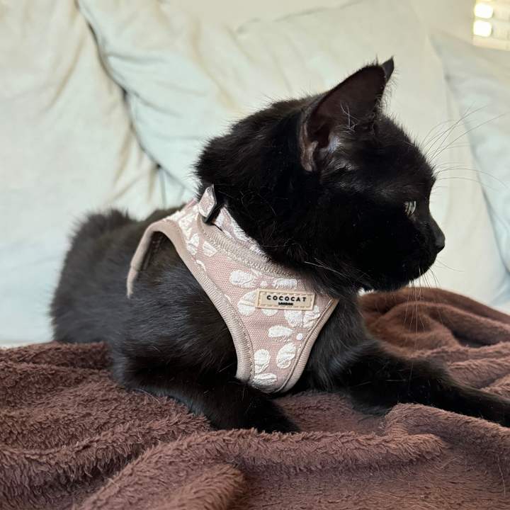 Cat Harness - Mocha Flower