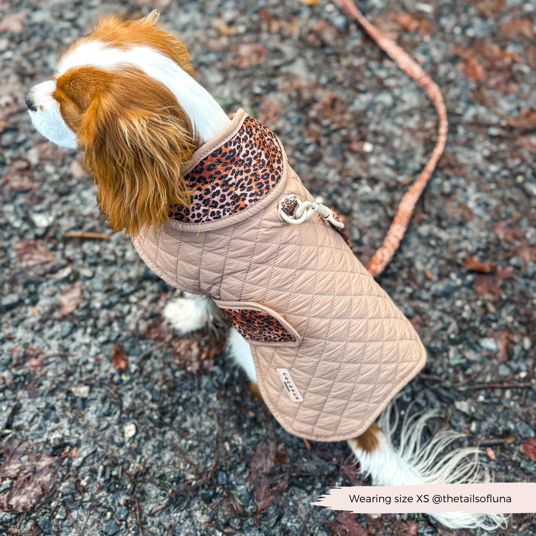 LUXE Quilted Dog Coat - Leopard Pup