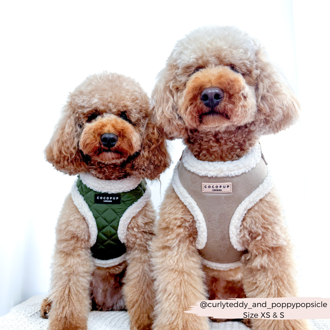 Khaki Quilted Adjustable Neck Harness, Lead & Collar Bundle