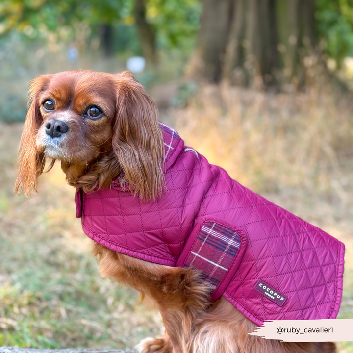 Quilted Dog Coat - Mulberry Plaid
