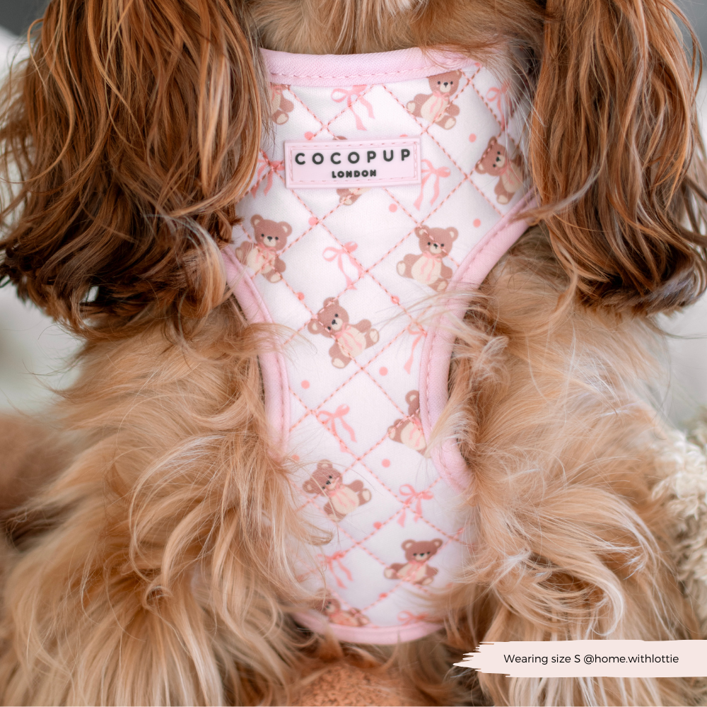 Quilted Thea Teddy Adjustable Neck Harness