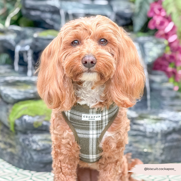 Olive Check Adjustable Neck HARNESS
