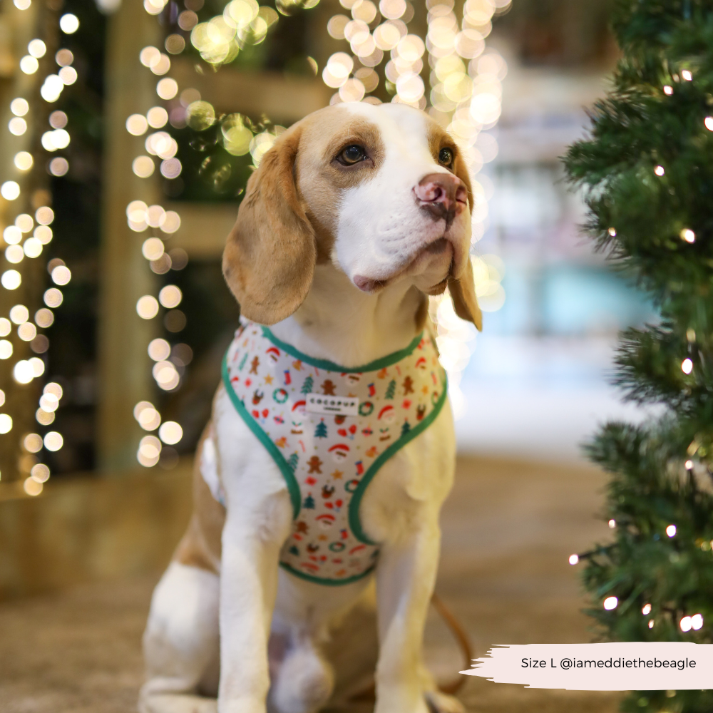 Christmas Pawty Adjustable Neck Harness, Lead & Collar Bundle