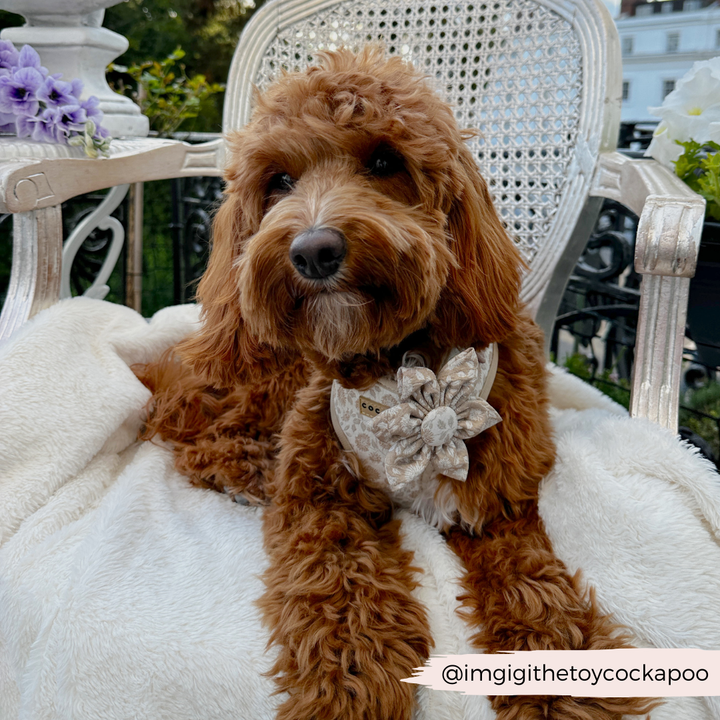 LUXE Garden Meadow Collar Flower