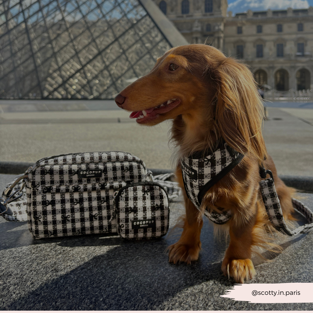 Pup in Paris Dog Walking Bag Bundle - Pup in Paris