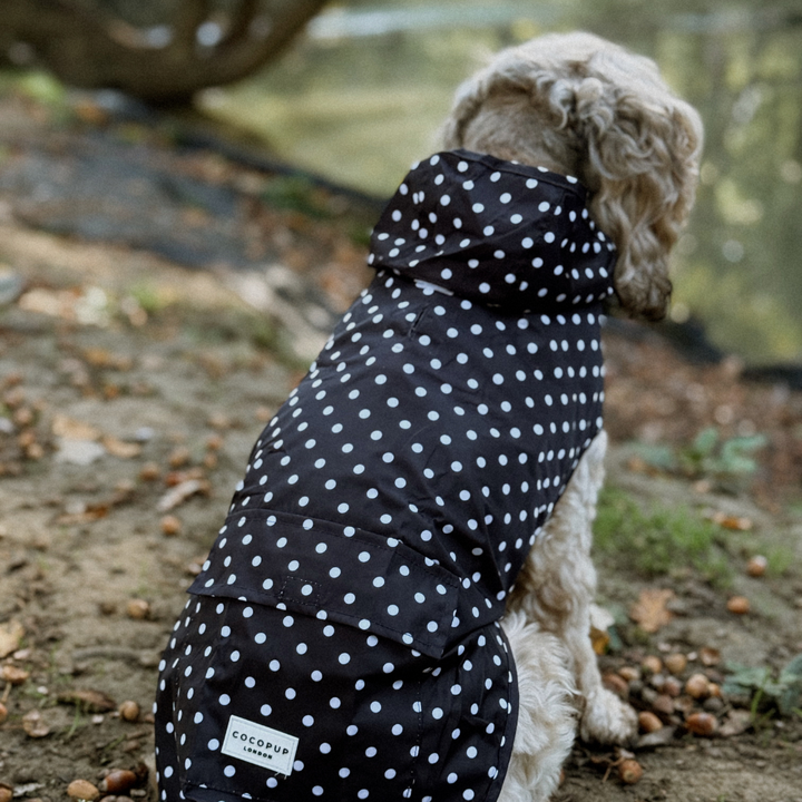 Dog Raincoat - Black Polka Dot