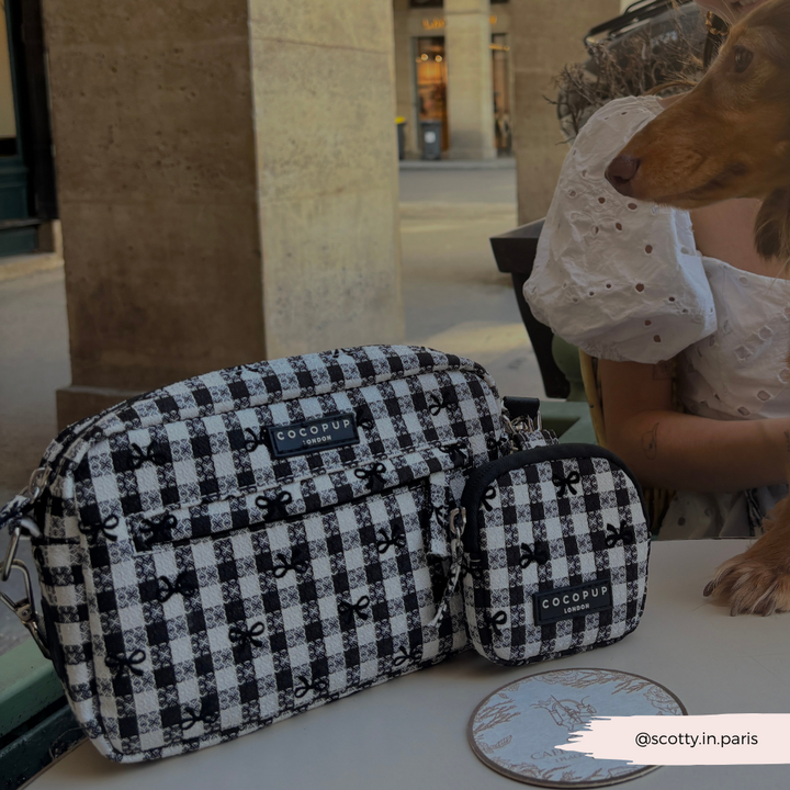 Dog Walking Bag - Pup in Paris