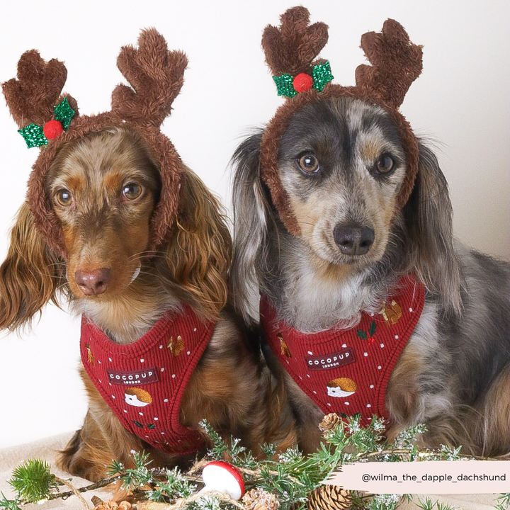 Holly Jolly Trails Adjustable Neck HARNESS