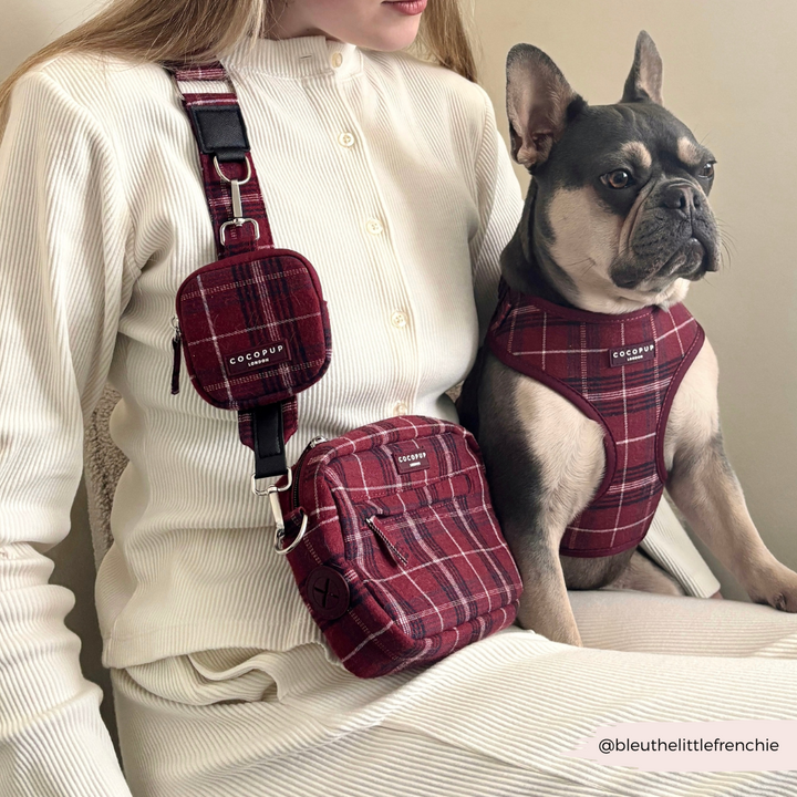 Dog Walking Bag - Mulberry Plaid