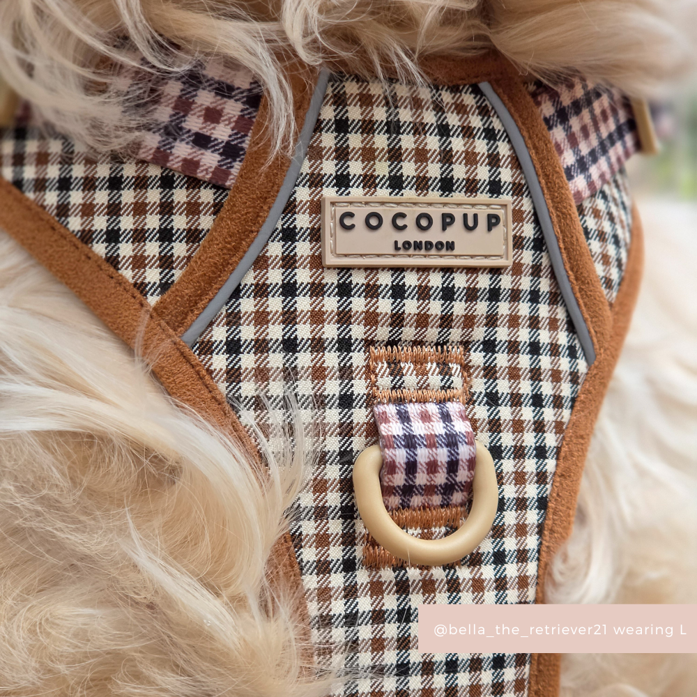 Fluffy dog in Cocopup London Explore Harness—Heritage Check pattern with gold ring and tag.