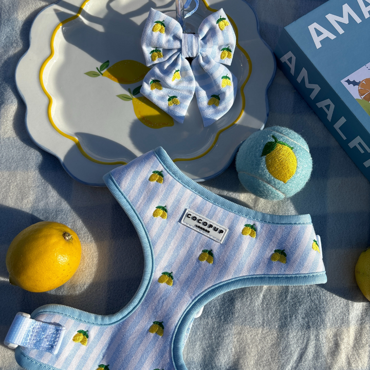 Embroidered Tennis Ball - Lemon