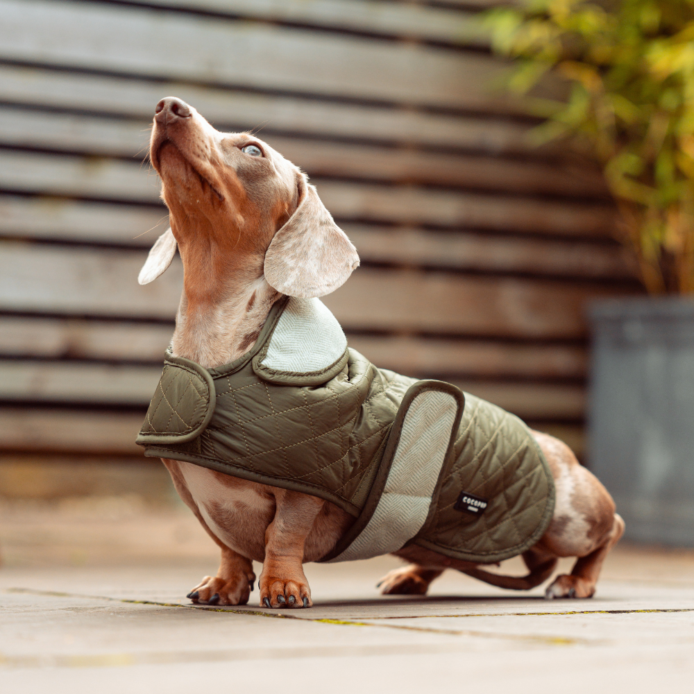 LUXE Quilted Dog Coat - Country Khaki