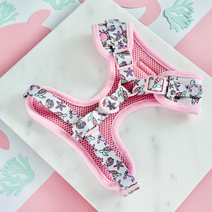 Pawcific Pink Reef Adjustable Neck Harness, Lead & Collar Bundle