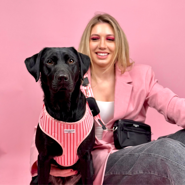Candy Stripe Adjustable Neck HARNESS