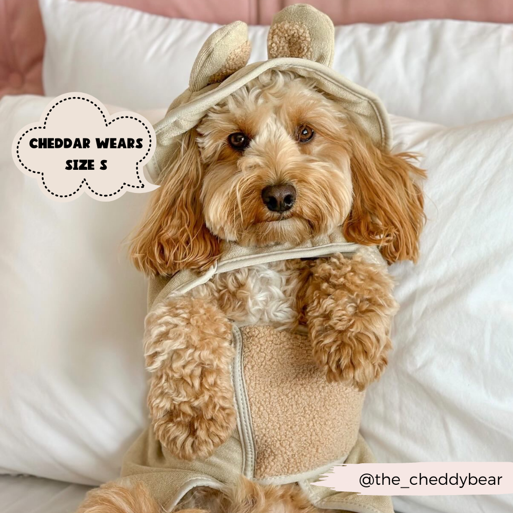 Kmart dog pjs hotsell