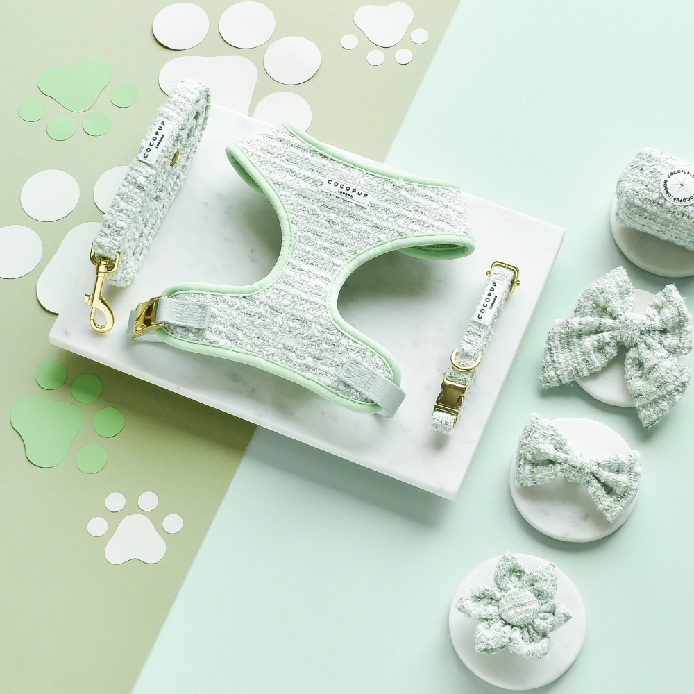 Matcha Textured Tweed Dog Sailor Bow Tie Cocopup London