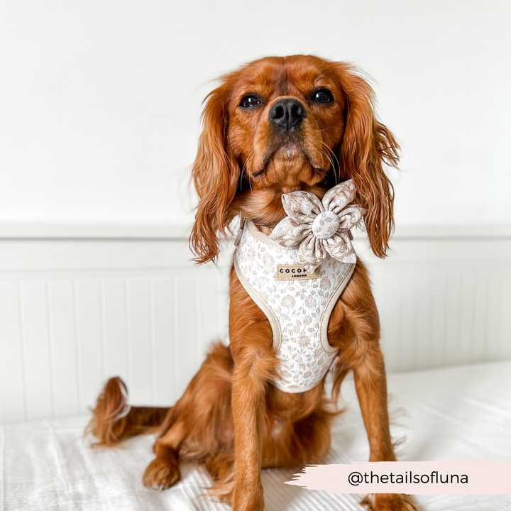 LUXE Garden Meadow Collar Flower