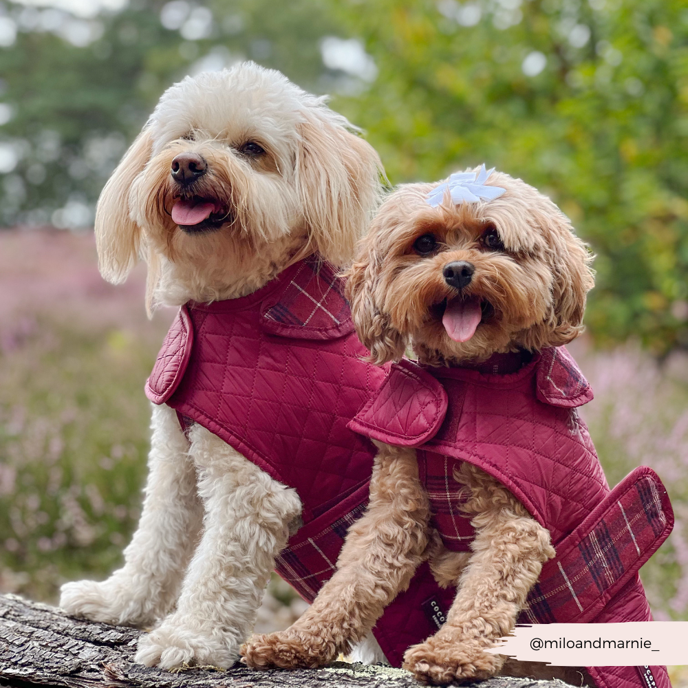 Quilted Dog Coat - Mulberry Plaid
