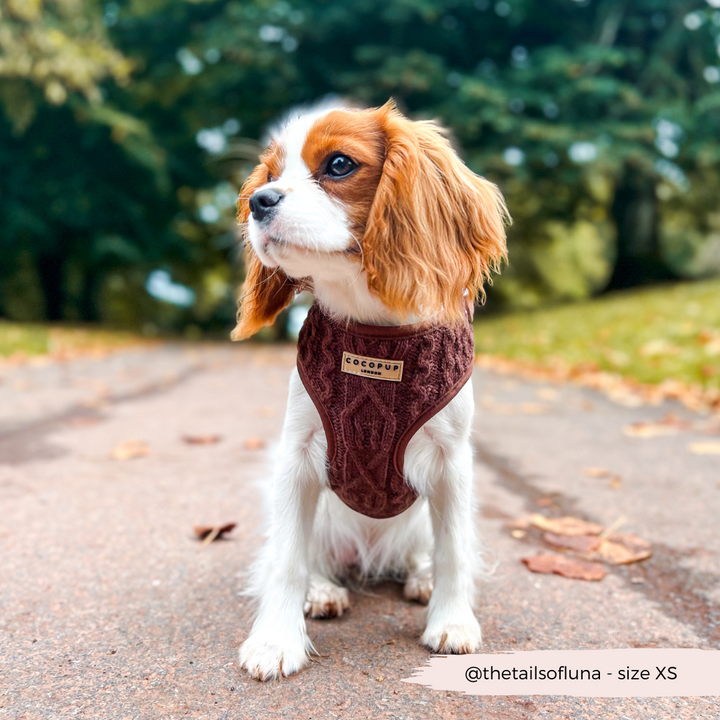 Cable Knit Jumper Adjustable Neck Harness - Hot Coco