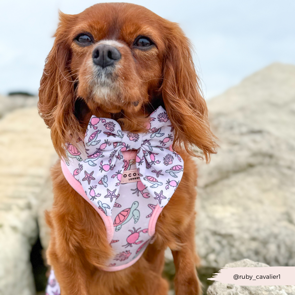 Pawcific Pink Reef Adjustable Neck HARNESS