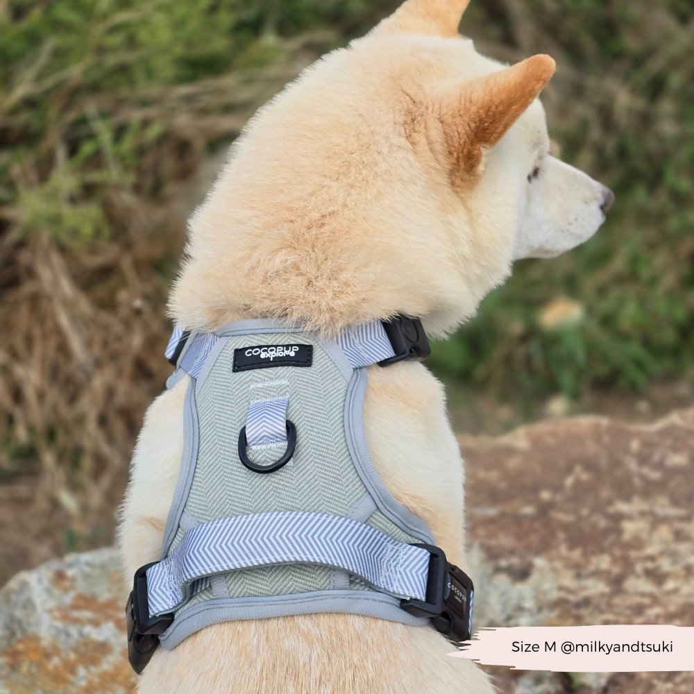 Explore Harness - Sage Tweed