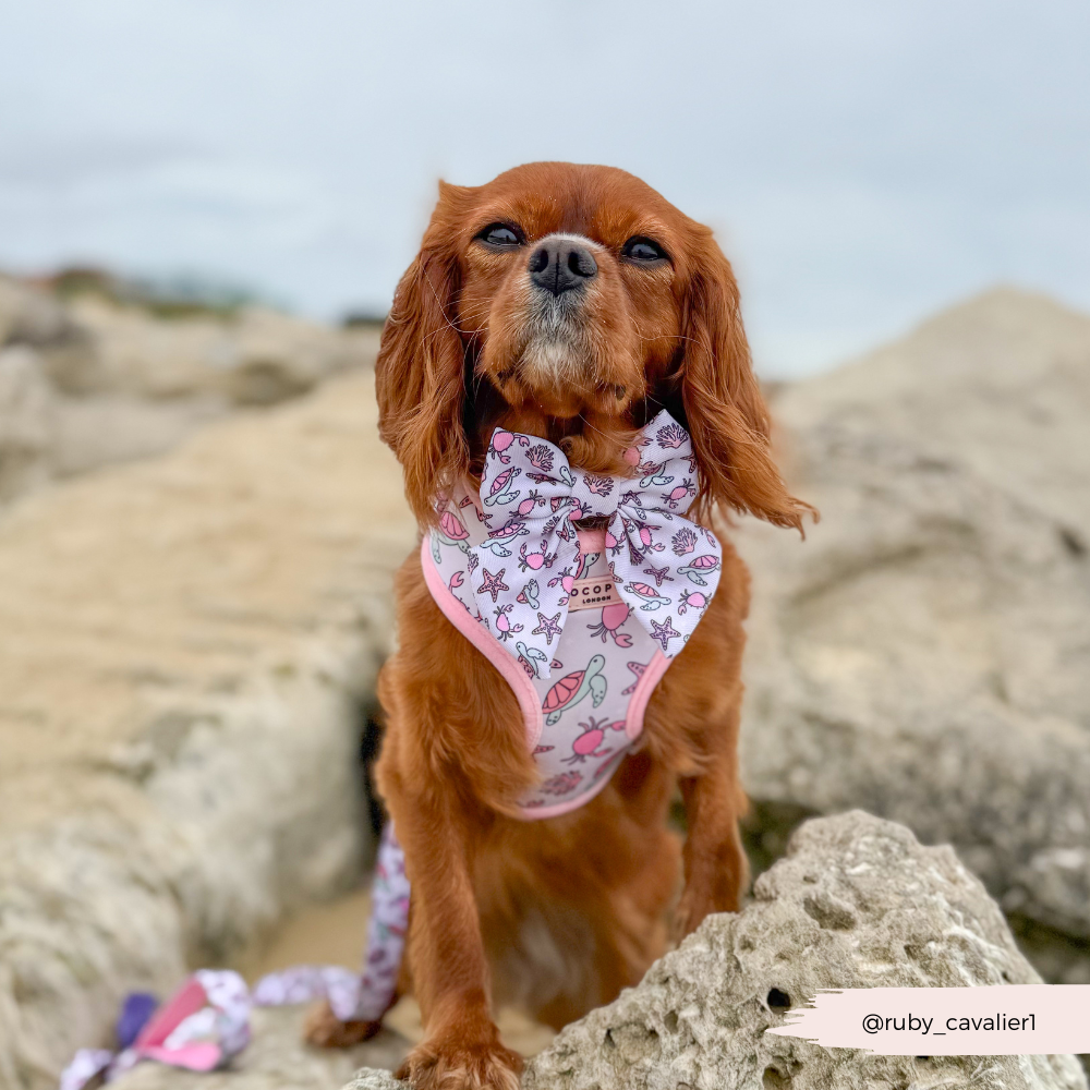 Pawcific Pink Reef Adjustable Neck HARNESS
