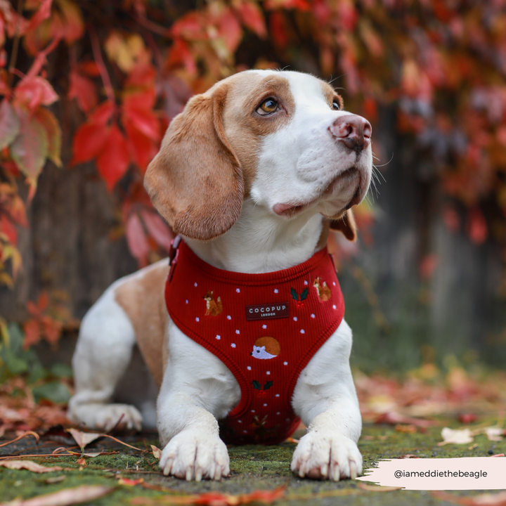 Holly Jolly Trails Adjustable Neck HARNESS