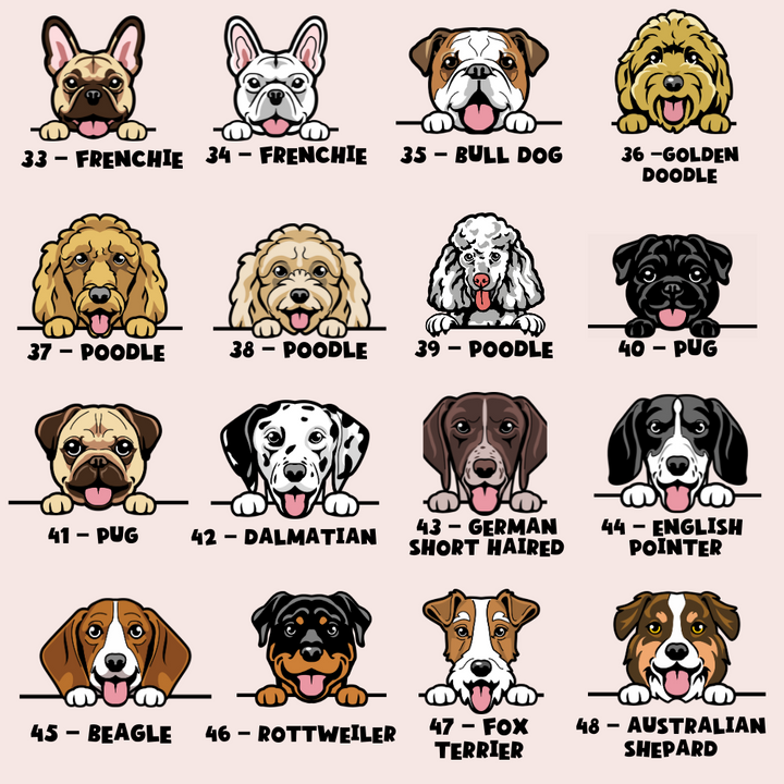 Personalised Dog Cartoon ID Tag - Pupperfly