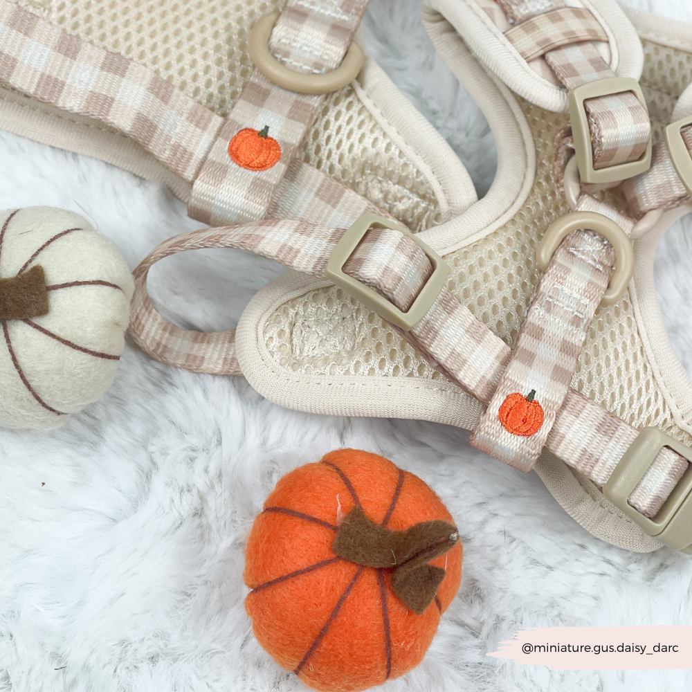 Pumpkin Patch Adjustable Neck HARNESS
