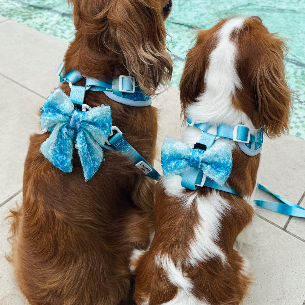 Seaside Shimmer Bow Tie