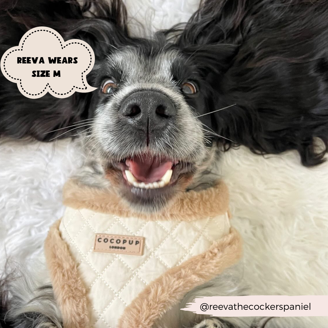 Cream Quilted Adjustable Neck Dog Harness Cocopup London