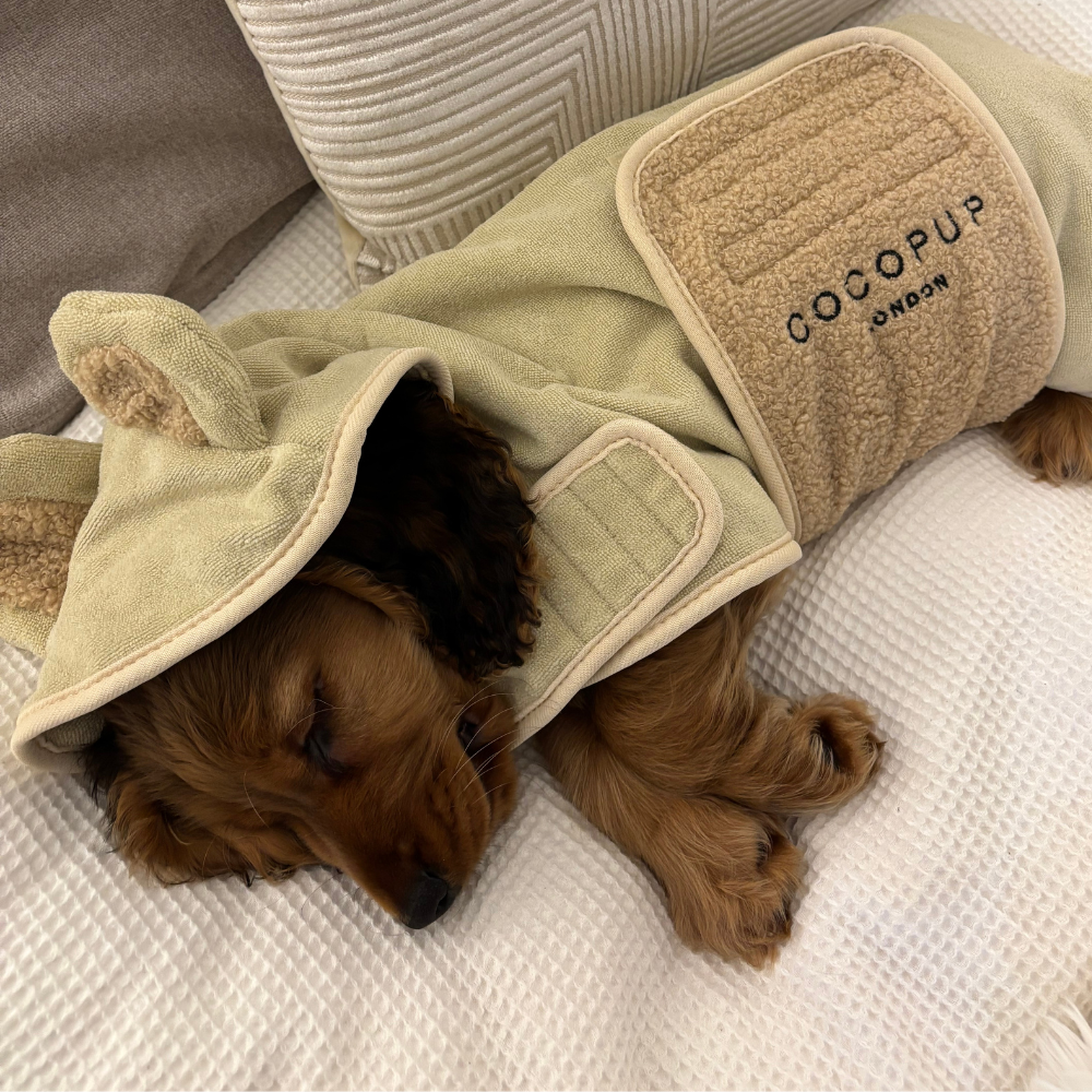 Teddy Dog Drying Robe | Cocopup London Teddy Dog Drying Robe | Cocopup London
