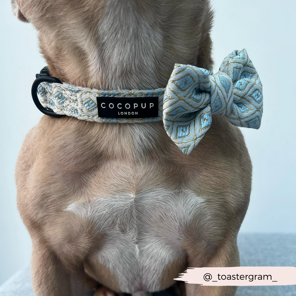 Luxe Embroidered Glitter Bow Tie - Pup Charming Blue